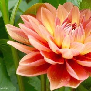 Meet your Posher, Jeannette